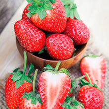 Load image into Gallery viewer, Strawberry &#39;Albion&#39; bareroot 10/pk

