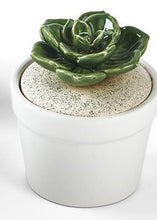 Load image into Gallery viewer, Succulent Lidded Jar (each sold seperately)
