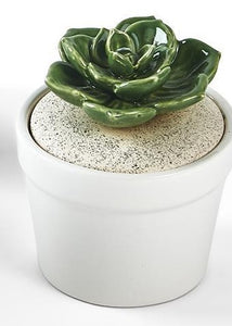 Succulent Lidded Jar (each sold seperately)
