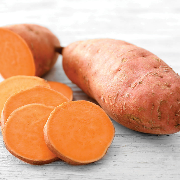 Sweet Potato, Beauregard 8pp