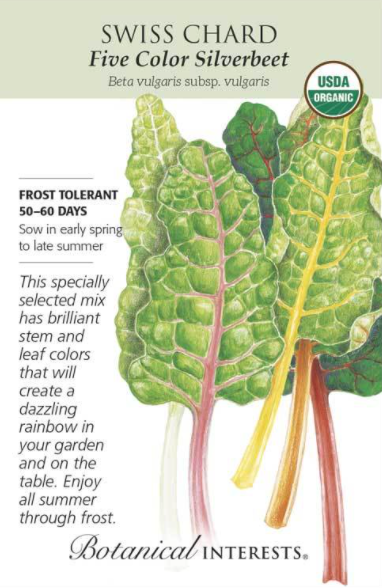 Swiss Chard, Five Color Silverbeet