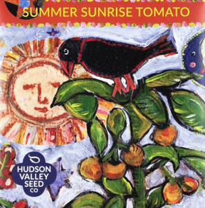 Tomato, Summer Sunrise