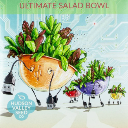 Ultimate Salad Bowl
