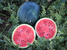 Load image into Gallery viewer, Melons
