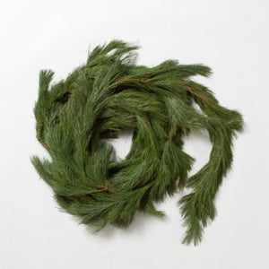 Roping - White Pine (sold by the yard)